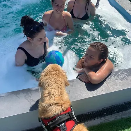 Cactus Camin Studentesc Pentru Elevi Si Studenti * Costineşti