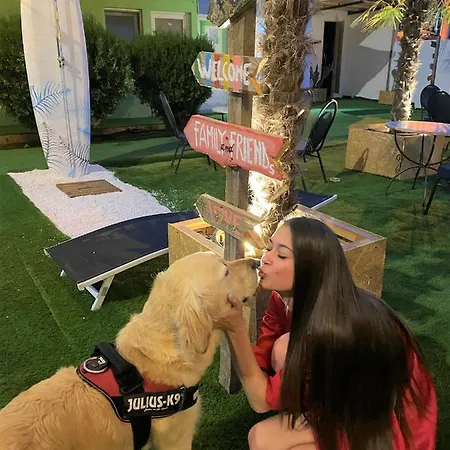 Condominio Cactus Camin Studentesc Pentru Elevi Si Studenti *