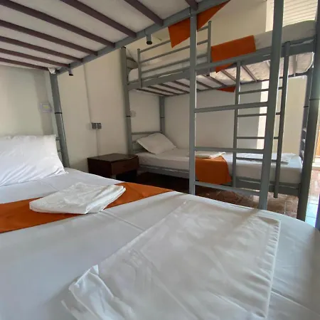 Cactus Camin Studentesc Pentru Elevi Si Studenti * Costinesti