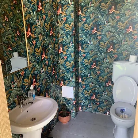 Cactus Camin Studentesc Pentru Elevi Si Studenti Condominio *