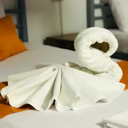 Cactus Camin Studentesc Pentru Elevi Si Studenti Condominio Costinesti