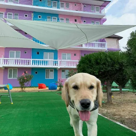 Cactus Camin Studentesc Pentru Elevi Si Studenti * Costinesti